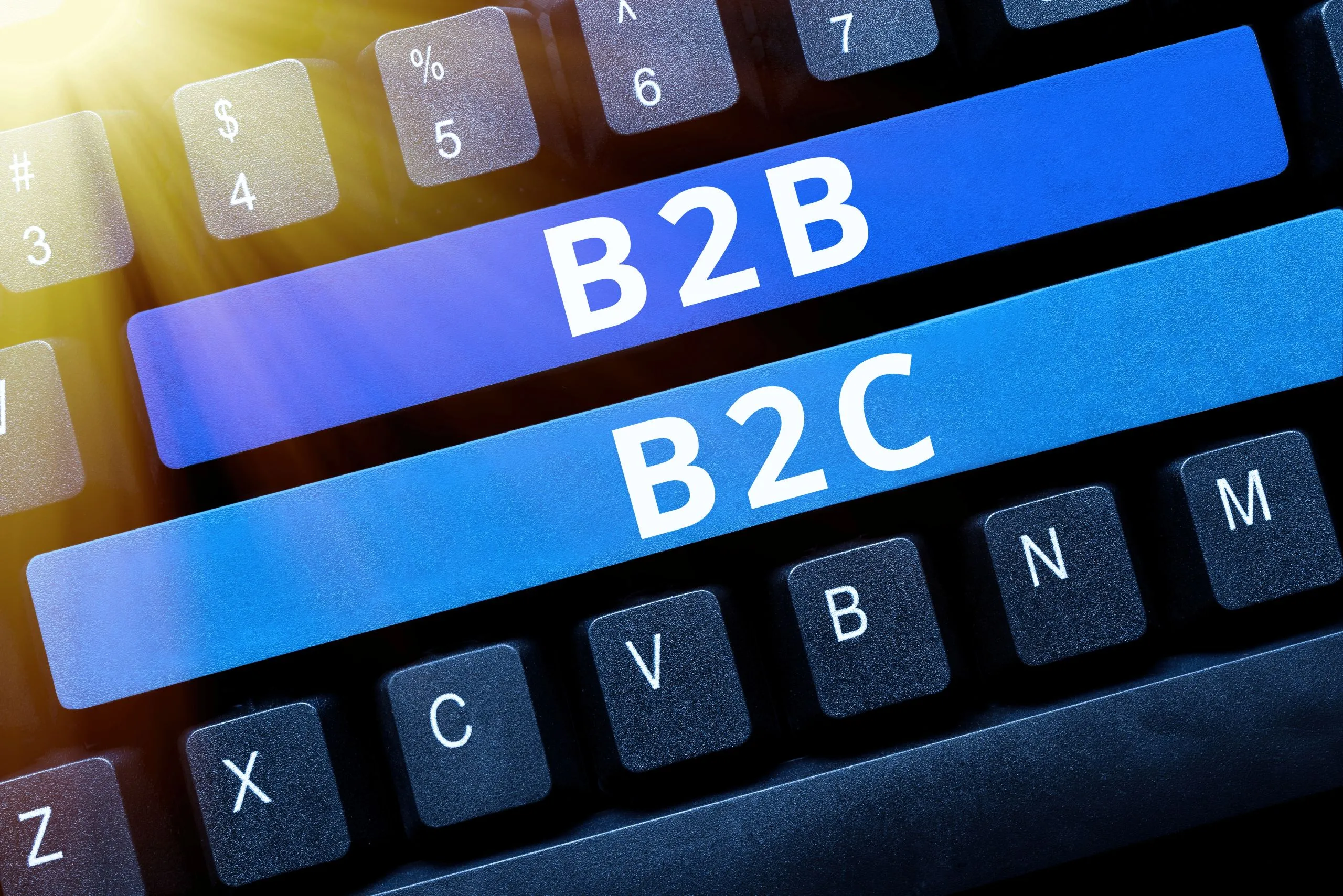 What are the Differences Between B2B and B2C?