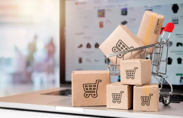 How Does the E-Commerce Logistics Process Work?