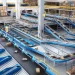 Fulfillment hizmetinin uygulama adımları